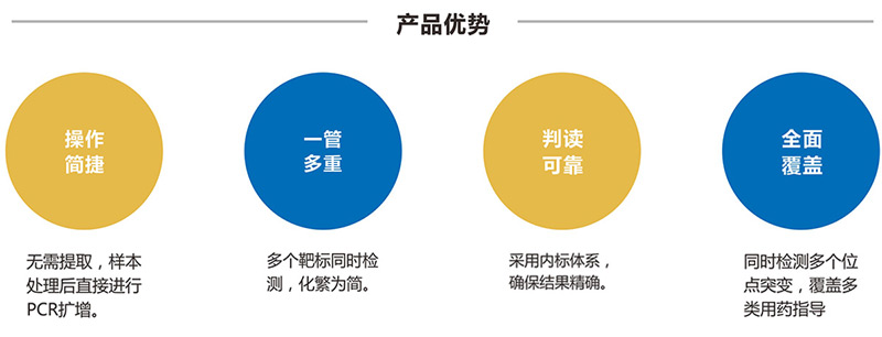 校园热血动漫欧美大片黑寡妇免费观看，燃烧青春的二次元战场